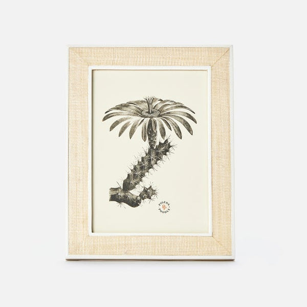 Pigeon & Poodle Aberdeen Abaca/Resin Frame